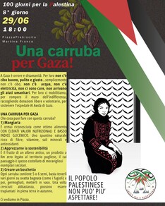UNA CARRUBA PER GAZA