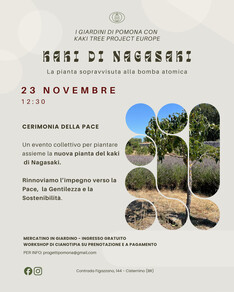 "Cerimonia della Pace" - Piantiamo assieme la pianta sopravvissuta alla bomba atomica!