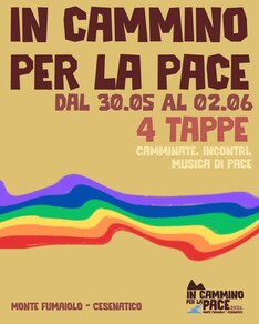 IN CAMMINO PER LA PACE