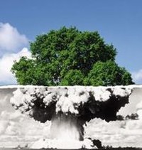 Trattato di non proliferazione: qualcosa sta cambiando