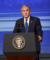 Bush