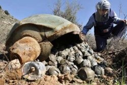 Cluster bomb