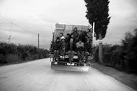 Viaggi degli immigrati
