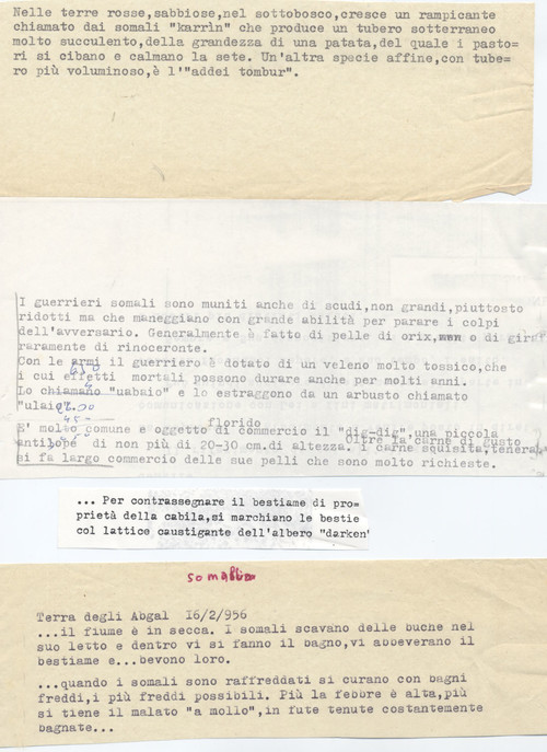 Diario. In Somalia alla prese con le armi, le medicine, il bestiame, le piante (13° Usi e costumi nella Somalia del'900)