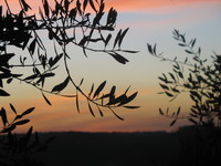 tramonto dal giardino della Casa per la Pace