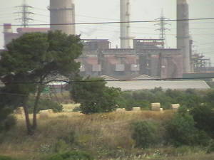 Foraggio raccolto vicino all'Ilva di Taranto