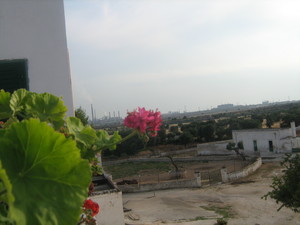 panorama di casa Fornaro