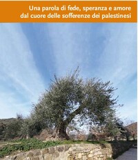 La Terra santa al Sinodo del Medioriente