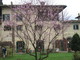 Pesco fiorito con casa ( Giardino pensile della casa per la Pace )  - anno 2008