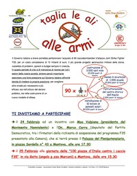 Taglia le ali alle armi a Mantova