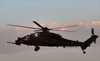 Mangusta