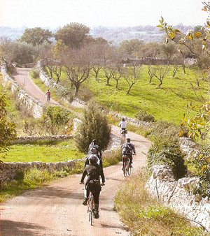 agriturismo salinola