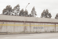 Sansavenir