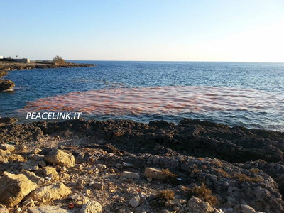 il mare di lama