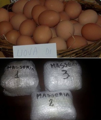 uova analizzate dal fondo antidiossina
