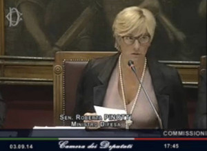 Ministro Pinotti riferisce in Parlameto