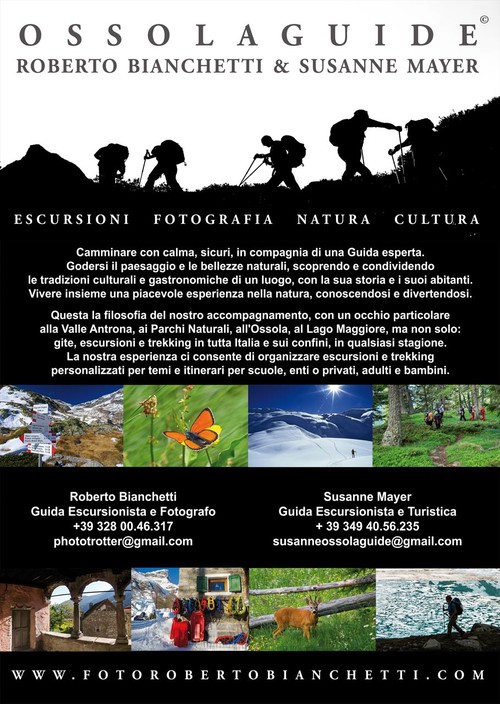 Locandina