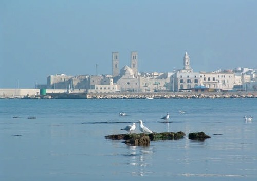 Porto di Molfetta