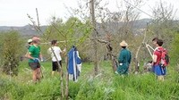 L'OLIO NUOVO 2015 alla Casa per la Pace