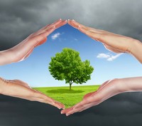 Un approccio ecologico