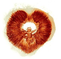Il cuore di Dio trema per noi