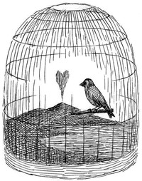 LiberaMente - lettere dal carcere