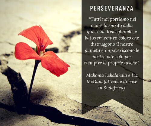 “Tutti noi portiamo nel cuore lo spirito della giustizia. Risvegliatelo, e battetevi contro coloro che distruggono il nostro pianeta e impoveriscono le nostre vite solo per riempire le proprie tasche”. Makoma Lekalakala e Liz McDaid (attiviste di base in Sudafrica)