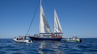 Freedom Flotilla