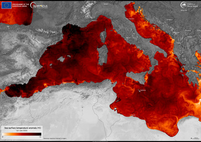 A marine heatwave is ongoing in the Mediterranean Sea.   This data visualisation, based on Copernicus Marine Service data, shows sea surface temperature anomalies