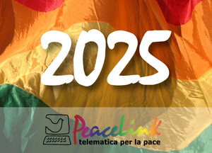 PeaceLink 2025 cosa abbiamo fatto