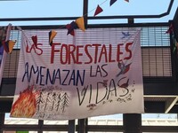 Per il Cile i mapuche sono criminali