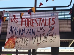 Per il Cile i mapuche sono criminali