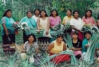 Paraguay: Ayoreo in rivolta contro le concerie