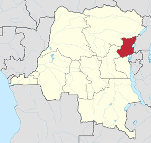 Nord Kiwu, una delle regioni in cui si è diffusa l'ebola. La provincia del Nord Kivu, situata nella parte orientale della Repubblica Democratica del Congo, confina direttamente con il Ruanda