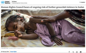 Il dramma della guerra in Sudan, l'ONU indaga: "Il Consiglio per i diritti umani viene a conoscenza del persistente rischio di ulteriori violenze genocidarie in Sudan".