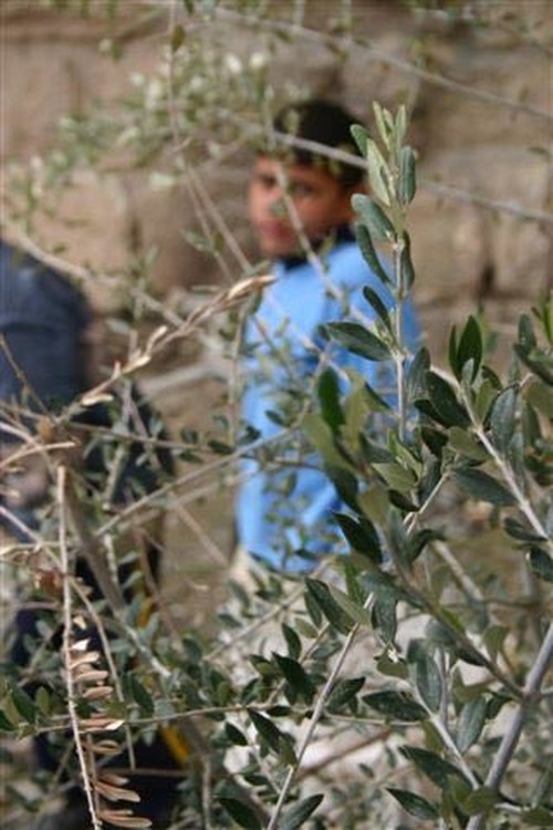 Gerusalemme 1. Foto inviata da Gabriele Viviani, fotoreporter