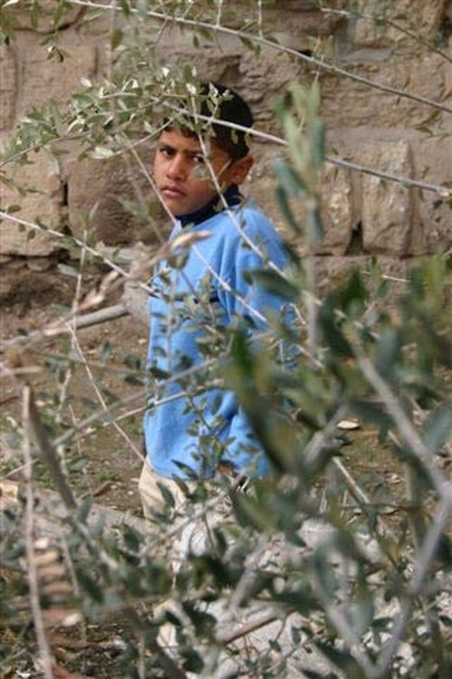 Gerusalemme 2. Foto inviata da Gabriele Viviani, fotoreporter