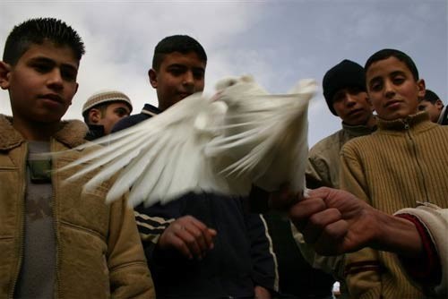 Gerusalemme 12. Foto inviata da Gabriele Viviani, fotoreporter