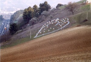 Ancora un'immagine del simbolo di pace realizzato dalla Provincia di Pescara lungo le autostrade A14 Adriatica e A25 Pescara-Roma.