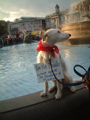 Manifestazione conclusiva del Forum Sociale Europeo - Londra