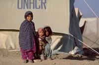 UNHCR