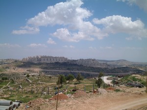 Insediamenti di coloni israeliani