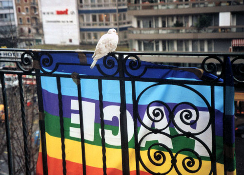 Appendo la mia bandiera al mio balcone, e poco dopo una colomba ci si accoccola sopra...e vi assicuro che a Ginevra le colombe non abbondano! Un caro saluto. Aleida