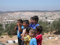 Due seminari di formazione e Campo di lavoro e peacekeeping in Palestina e Israele