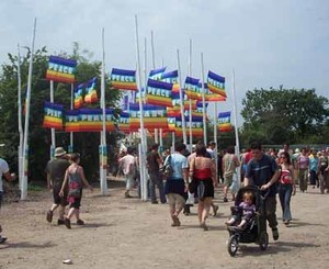Hi, I thought I'd send you two pictures of the Peace flags at Glastonbury last month. 