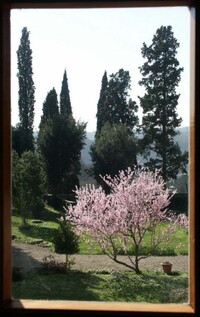 LABORATORIO DI FORMAZIONE ALLA NONVIOLENZA