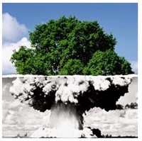 Nucleare: sospeso l'accordo di cooperazione Usa-India