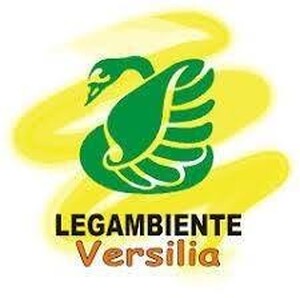 Logo Legambiente Versilia 