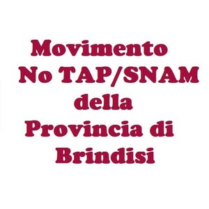 Logo Movimento No TAP di Brindisi e Provincia